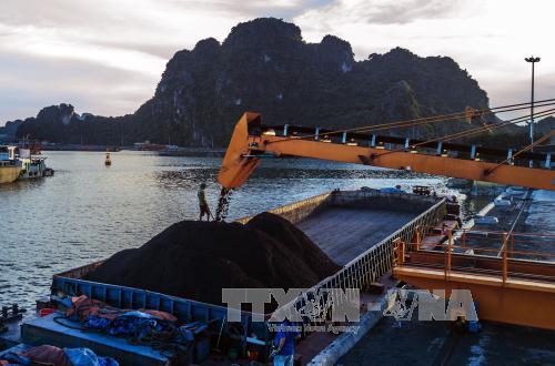 TKV thông tin về kết luận của Thanh tra Chính phủ liên quan đến số tiền 15.000 tỷ đồng